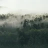 Gedankenausbruch